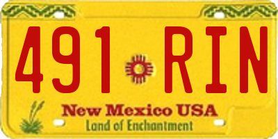 NM license plate 491RIN