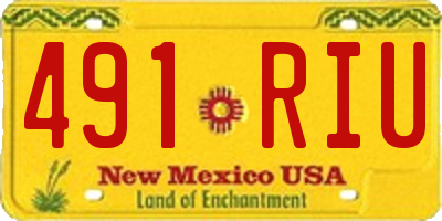 NM license plate 491RIU