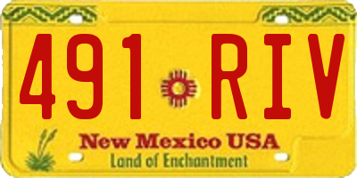 NM license plate 491RIV