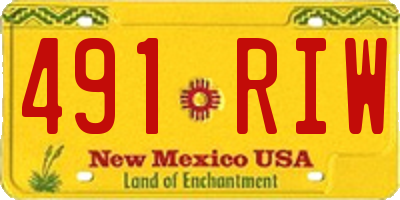 NM license plate 491RIW