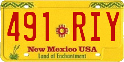 NM license plate 491RIY