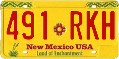 NM license plate 491RKH