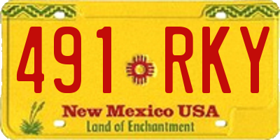 NM license plate 491RKY