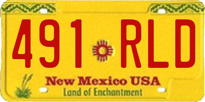 NM license plate 491RLD