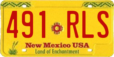 NM license plate 491RLS