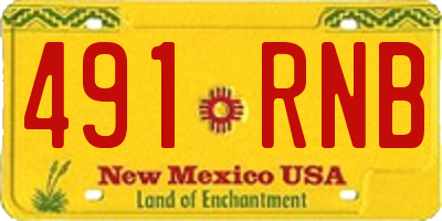 NM license plate 491RNB