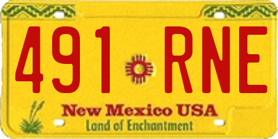 NM license plate 491RNE