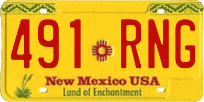 NM license plate 491RNG