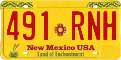 NM license plate 491RNH