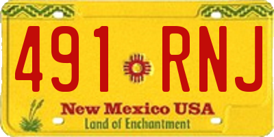 NM license plate 491RNJ