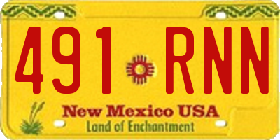NM license plate 491RNN