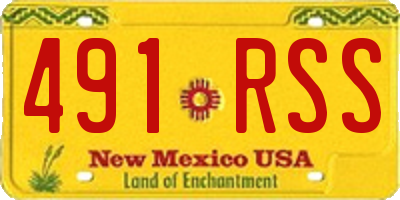NM license plate 491RSS