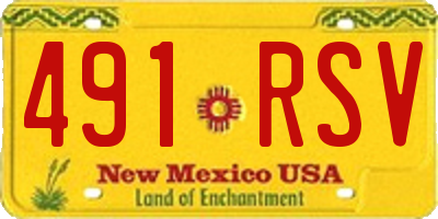 NM license plate 491RSV