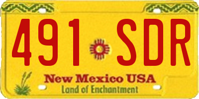NM license plate 491SDR