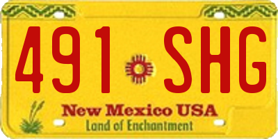NM license plate 491SHG
