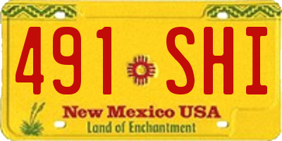 NM license plate 491SHI