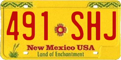 NM license plate 491SHJ