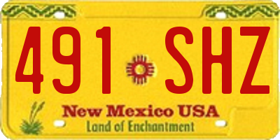 NM license plate 491SHZ
