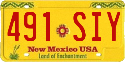 NM license plate 491SIY