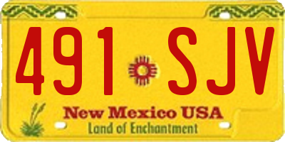 NM license plate 491SJV