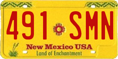 NM license plate 491SMN