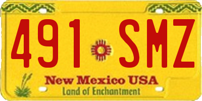 NM license plate 491SMZ