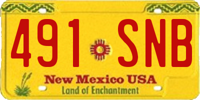 NM license plate 491SNB