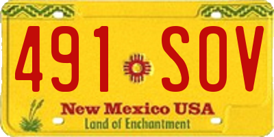NM license plate 491SOV
