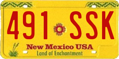 NM license plate 491SSK