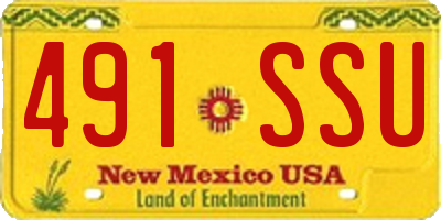 NM license plate 491SSU