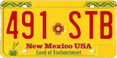 NM license plate 491STB