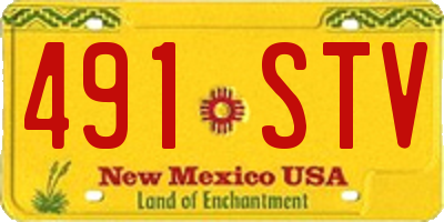 NM license plate 491STV