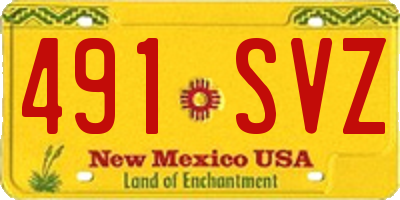 NM license plate 491SVZ