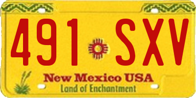 NM license plate 491SXV