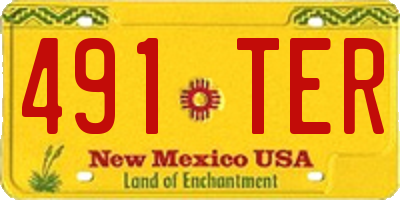 NM license plate 491TER