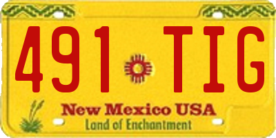 NM license plate 491TIG
