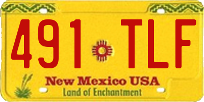 NM license plate 491TLF