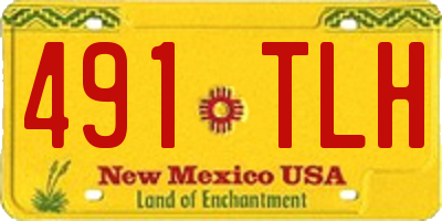 NM license plate 491TLH