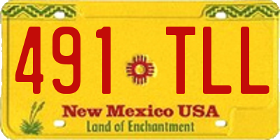 NM license plate 491TLL