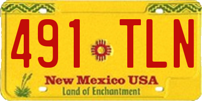 NM license plate 491TLN