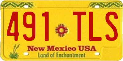 NM license plate 491TLS