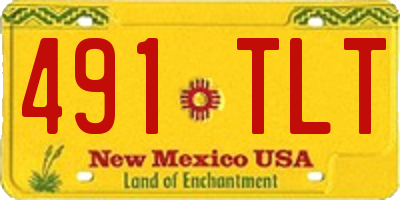 NM license plate 491TLT