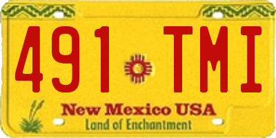 NM license plate 491TMI