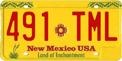NM license plate 491TML