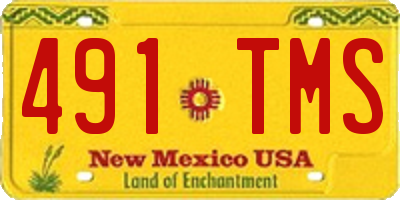 NM license plate 491TMS