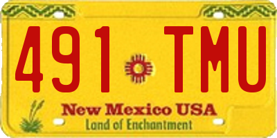 NM license plate 491TMU