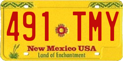 NM license plate 491TMY