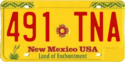 NM license plate 491TNA