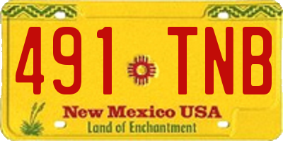 NM license plate 491TNB