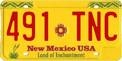 NM license plate 491TNC